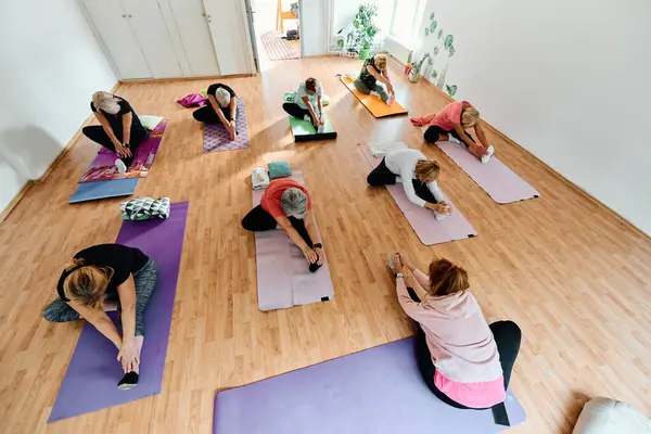 Group Senior Women Engage Various Yoga Exercises Including Neck Back Stock Image