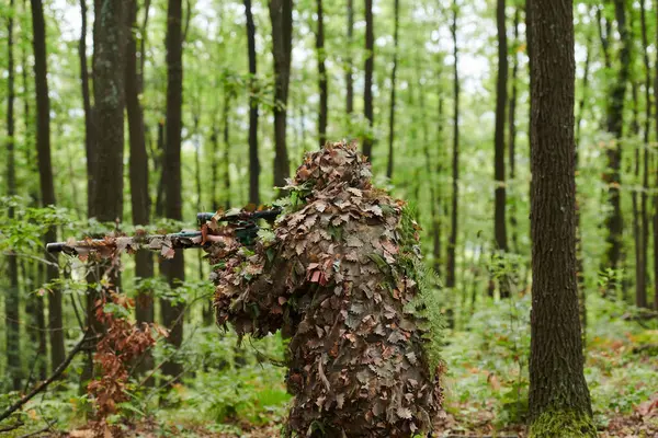 Egy Magasan Képzett Elit Mesterlövész Álcázva Sűrű Erdőben Lopakodva Manőverezik Jogdíjmentes Stock Fotók
