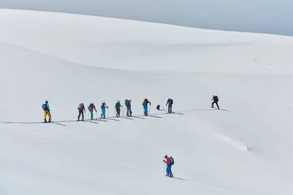 Group Professional Ski Mountaineers Ascend Dangerous Snowy Peak Using State — Stock Photo, Image