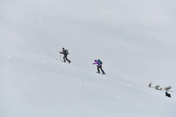 プロのスキー登山者のグループは 最先端の機器を使用して危険な雪の頂上に登ります — ストック写真