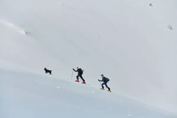 Группа Профессиональных Альпинистов Поднимается Опасную Снежную Вершину Используя Самое Современное — стоковое фото