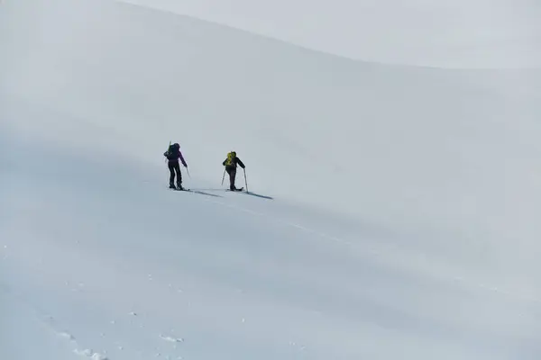 Een Onwankelbaar Teamwork Vastberadenheid Bestijgen Twee Professionele Skiërs Besneeuwde Toppen — Stockfoto