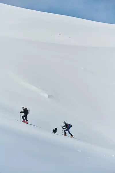 stock image In a display of unwavering teamwork and determination, two professional skiers ascend the snow-capped peaks of the Alps, united in their quest for the summit. 