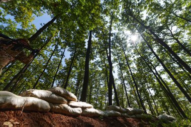 Seçkin bir asker tehlikeli ormanlık alandaki askeri engelleri aşarak özel eğitim sırasında taktiksel beceri ve çeviklik sergiliyor.. 