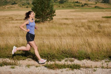 Dayanıklılık ve kararlılığı somutlaştıran tek bir koşucu, sağlıklı bir yaşam tarzını benimserken, yaklaşan maraton müsabakaları için hazırlanarak, coşkuyla fitness hedeflerini takip eder. 