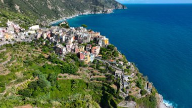 Manarola Köyü Cinque Terre Sahil İtalya. Liguria 'nın renkli kasabası beş Cinque Terre' den biri. Ulusal Park Cinque Terre 'deki Manarola geleneksel İtalyan köyü. Kayaların üzerinde renkli evler var.