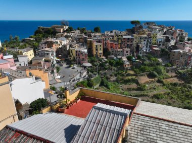 Manarola Köyü Cinque Terre Sahil İtalya. Liguria 'nın renkli kasabası beş Cinque Terre' den biri. Ulusal Park Cinque Terre 'deki Manarola geleneksel İtalyan köyü. Kayaların üzerinde renkli evler var.