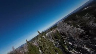 Kış Ormanı Karları Ağaçları Kaplamıştı Alp Dağları Sabah Erken Güneş Doğumu Tatil ve Turizm Ağacı Canlı Renkler Hava 4k FPV