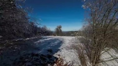 Kış Ormanı Karları Ağaçları Kaplamıştı Alp Dağları Sabah Erken Güneş Doğumu Tatil ve Turizm Ağacı Canlı Renkler Hava 4k FPV