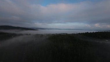 Puslu ormanda sabah sisli bir havada uçan hava aracı bulutların üzerinde gündoğumu rüyası konsepti