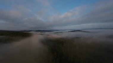 Puslu ormanda sabah sisli bir havada uçan hava aracı bulutların üzerinde gündoğumu rüyası konsepti