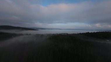 Puslu ormanda sabah sisli bir havada uçan hava aracı bulutların üzerinde gündoğumu rüyası konsepti