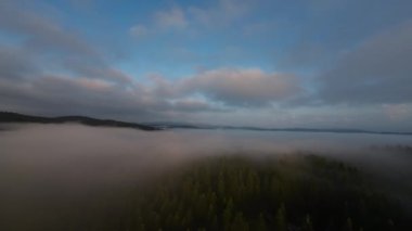 Puslu ormanda sabah sisli bir havada uçan hava aracı bulutların üzerinde gündoğumu rüyası konsepti