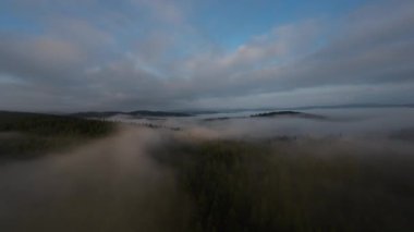 Puslu ormanda sabah sisli bir havada uçan hava aracı bulutların üzerinde gündoğumu rüyası konsepti