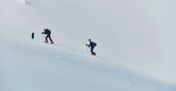 stock image A group of professional ski mountaineers ascend a dangerous snowy peak using state-of-the-art equipment. 