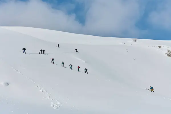 stock image A group of professional ski mountaineers ascend a dangerous snowy peak using state-of-the-art equipment. 