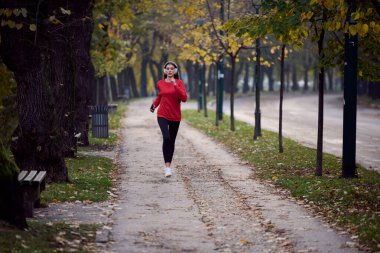 Sağlıklı yaşam tarzı, sabah koşusu. Genç ve güzel bir kadın sonbahar parkında koşuyor ve akıllı telefonuyla kulaklıkla müzik dinliyor. Kırmızı bir spor gömlek giyiyor.. 