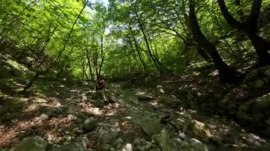 FPV insansız hava aracı bir yaz günü taze içme suyuyla ormanın yukarısında hareket ediyor.. 