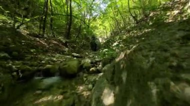 FPV insansız hava aracı bir yaz günü taze içme suyuyla ormanın yukarısında hareket ediyor.. 
