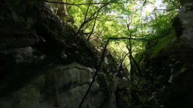 FPV insansız hava aracı, içme suyu olan küçük bir derenin üstündeki kanyondan geçiyor. 