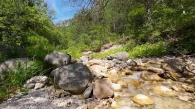FPV insansız hava aracı bir yaz günü taze içme suyuyla ormanın yukarısında hareket ediyor.. 