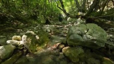 FPV insansız hava aracı bir yaz günü taze içme suyuyla ormanın yukarısında hareket ediyor.. 