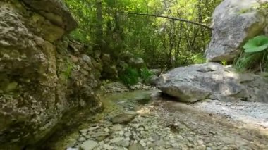 FPV insansız hava aracı bir yaz günü taze içme suyuyla ormanın yukarısında hareket ediyor.. 