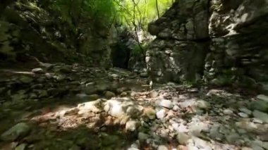 FPV insansız hava aracı bir yaz günü taze içme suyuyla ormanın yukarısında hareket ediyor.. 