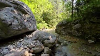 FPV insansız hava aracı bir yaz günü taze içme suyuyla ormanın yukarısında hareket ediyor.. 