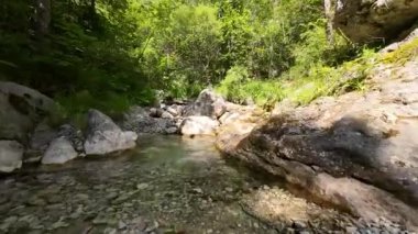 FPV insansız hava aracı bir yaz günü taze içme suyuyla ormanın yukarısında hareket ediyor.. 