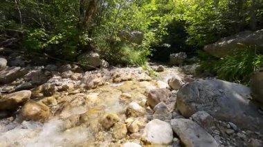 FPV insansız hava aracı bir yaz günü taze içme suyuyla ormanın yukarısında hareket ediyor.. 