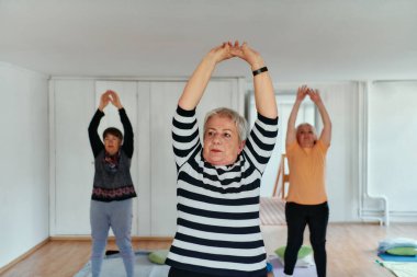 Bir grup son sınıf öğrencisi, güneş alan bir alanda eğitmenin rehberliğinde boyun, sırt ve bacak esnetme gibi çeşitli yoga egzersizleri yaparak refahı ve uyumu sağlıyorlar.. 