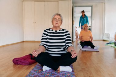 Bu güneşli ortamda, yaşlı bir kadın elleriyle çeşitli yoga pozisyonlarına giriyor, aktif yaşlanma, sağlık ve iç huzurun özünü somutlaştırıyor.. 