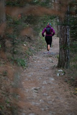 Bir dağda ultra-maraton koşusu için koşan bayan sporcu. Açık havada antrenman yapan koşucu bir kadın aktif ve zinde bir hayat sürüyor. Sabahın erken saatlerinde koşucular silueti.