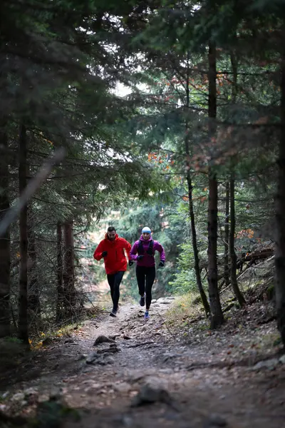 Sabahın erken saatlerinde büyülü ormanda koşan bir çiftle ülkeyi boydan boya kat ettim.