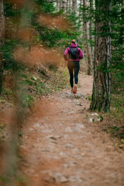 Yoğun Çam Ormanı 'nda Odaklanarak Koşan Kararlı Kadın Atletizm Gücü ve Doğayı Kucaklayan.
