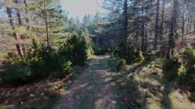 Dağlardaki bir sonbahar ormanında koşan dişi bir koşucunun gizli bir fotoğrafı. Sabah sporları aktif yaşam tarzı, uygunluk, dayanıklılık ve doğa odaklı eğitim maratonunu gözler önüne seriyor