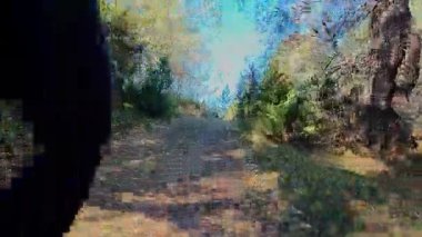 Dağlardaki bir sonbahar ormanında koşan dişi bir koşucunun gizli bir fotoğrafı. Sabah sporları aktif yaşam tarzı, uygunluk, dayanıklılık ve doğa odaklı eğitim maratonunu gözler önüne seriyor