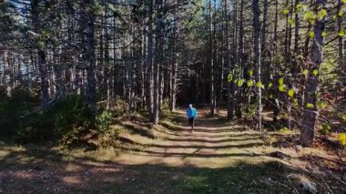 Ağaçlar ve güneş ışığıyla çevrili, manzaralı bir orman yolunda koşan bir adamın FPV görüntüsü. Açık hava fitness, sağlıklı yaşam tarzı, ve dayanıklılık ve motivasyon için atletik eğitim
