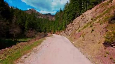 Dikey video FPV drone hava görüntüsü yoğun ladin ve çam ormanlarının arasından yükselen sarmal toprak yol üzerinde dramatik uçurumlar, geniş arazi ve çarpıcı bir gökyüzü ufkunu gözler önüne seriyor.