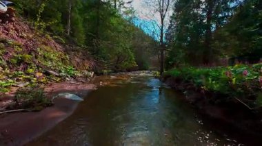 Büyülü bir ormanda, yosun kaplı yeşil taşlar, yemyeşil yapraklar ve akan sularla dolu temiz bir tatlı su deresinin üzerinde süzülen dikey alçak hava dronu görüntüsü. Huzurlu, sinematik bir doğa sahnesi..