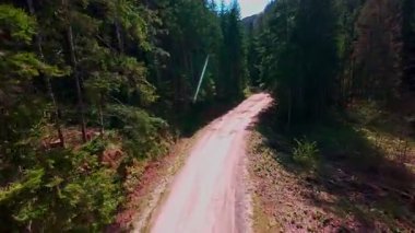 Dikey video FPV drone hava görüntüsü yoğun ladin ve çam ormanlarının arasından yükselen sarmal toprak yol üzerinde dramatik uçurumlar, geniş arazi ve çarpıcı bir gökyüzü ufkunu gözler önüne seriyor.