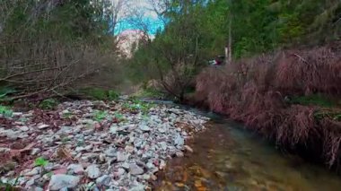 Sihirli bir ormanda, yosun kaplı yeşil taşlar, yemyeşil yapraklar ve akan sularla dolu temiz bir tatlı su deresinin üzerinde süzülen alçak hava dronu görüntüsü. Huzurlu, sinematik bir doğa sahnesi..