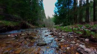 Sihirli bir ormanda, yosun kaplı yeşil taşlar, yemyeşil yapraklar ve akan sularla dolu temiz bir tatlı su deresinin üzerinde süzülen alçak hava dronu görüntüsü. Huzurlu, sinematik bir doğa sahnesi..