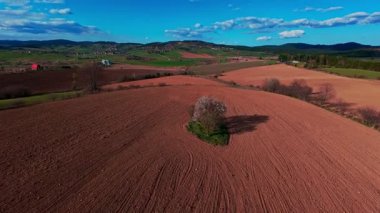 FPV 'nin insansız hava aracı görüntüsü canlı yeşil tarlaların ve açık mavi gökyüzünün altında dağınık bulutların üzerinde dönüyor. Manzaralı kırsal alan, hızlı hareket, dinamik hava fpv insansız hava aracı görüntüleri.
