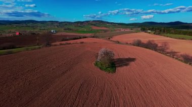 Dikey video FPV dron görüntüsü canlı yeşil alanlar üzerinde bankacılık ve dağınık bulutlar altında açık mavi gökyüzü altında yuvarlanan kırsal. Manzaralı kırsal alan, hızlı hareket, dinamik hava fpv dronu