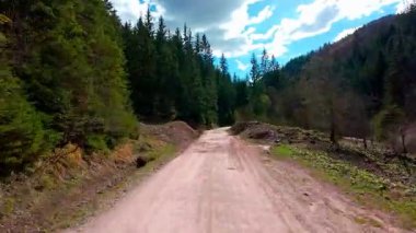 Dikey video FPV drone hava görüntüsü yoğun ladin ve çam ormanlarının arasından yükselen sarmal toprak yol üzerinde dramatik uçurumlar, geniş arazi ve çarpıcı bir gökyüzü ufkunu gözler önüne seriyor.
