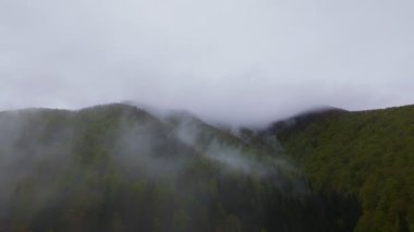 Bereketli ormanlarla kaplı sisli yeşil dağların havadan görünüşü bulutlu bir gökyüzünün altında sürüklenen sis seyahat, macera ve doğa turizmi için mükemmel doğal bir manzara yaratıyor..