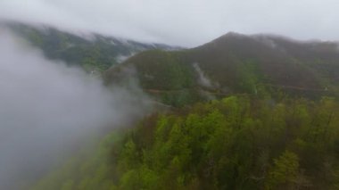 Bereketli ormanlarla kaplı sisli yeşil dağların havadan görünüşü bulutlu bir gökyüzünün altında sürüklenen sis seyahat, macera ve doğa turizmi için mükemmel doğal bir manzara yaratıyor..