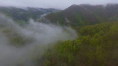 Bereketli ormanlarla kaplı sisli yeşil dağların havadan görünüşü bulutlu bir gökyüzünün altında sürüklenen sis seyahat, macera ve doğa turizmi için mükemmel doğal bir manzara yaratıyor..